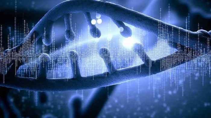 解开农作物耐碱基因密码,人体基因密码最新消息