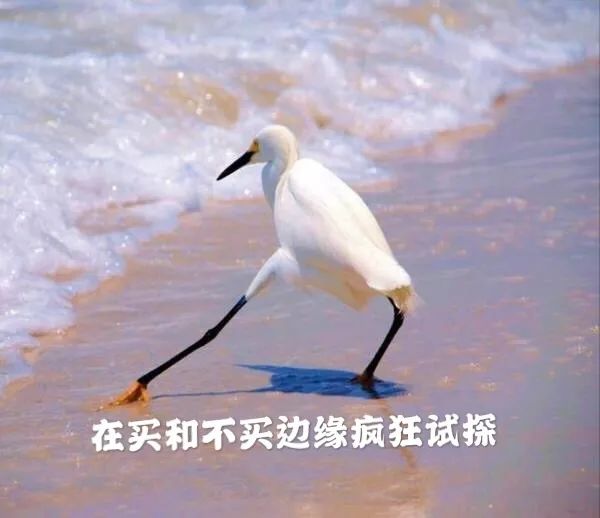 喜宝有机婴幼儿辅食米粉,喜宝辅食