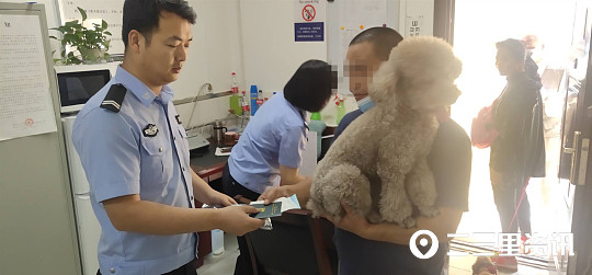 铲屎官关注避免自家宠物惹火,西安抓到禁养犬怎么办