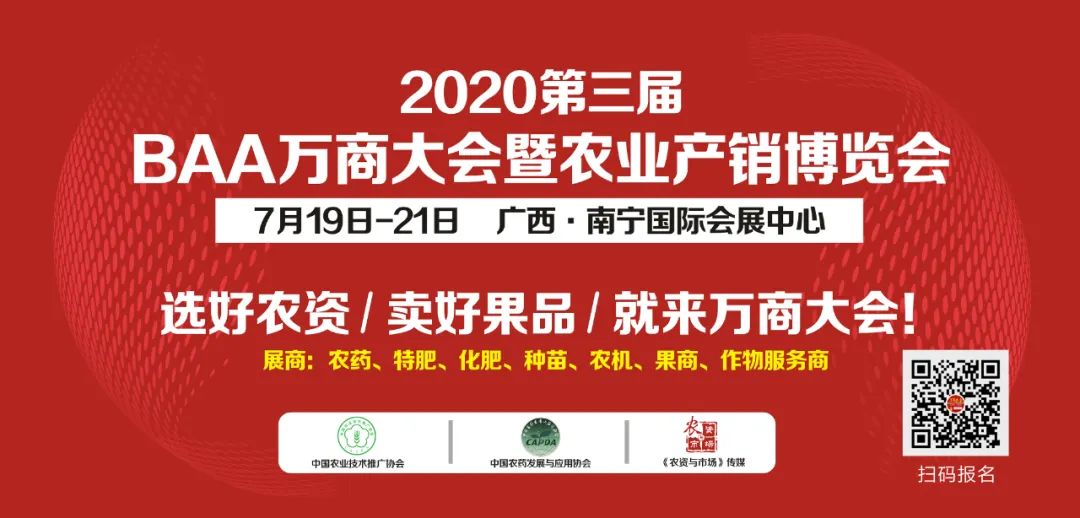 玉米苗心发黄腐烂还能救吗,玉米苗发黄不长怎么补救
