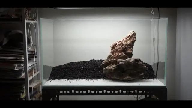 新手鱼缸开缸养水教程,新手海水缸开缸准备材料清单