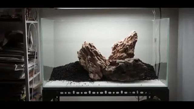 新手鱼缸开缸养水教程,新手海水缸开缸准备材料清单