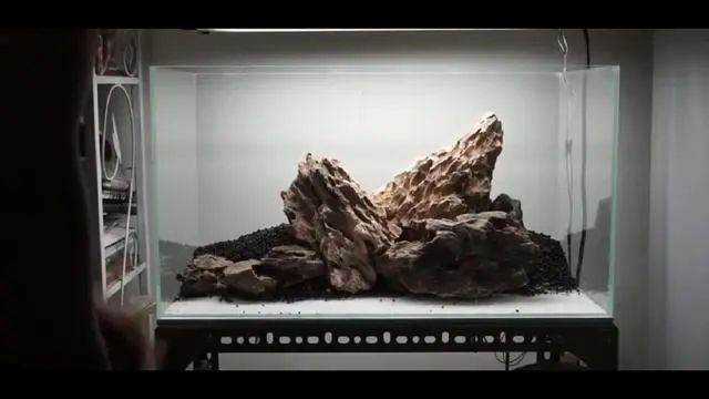 新手鱼缸开缸养水教程,新手海水缸开缸准备材料清单