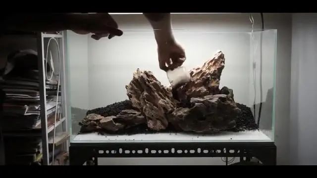 新手鱼缸开缸养水教程,新手海水缸开缸准备材料清单