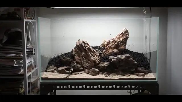 新手鱼缸开缸养水教程,新手海水缸开缸准备材料清单