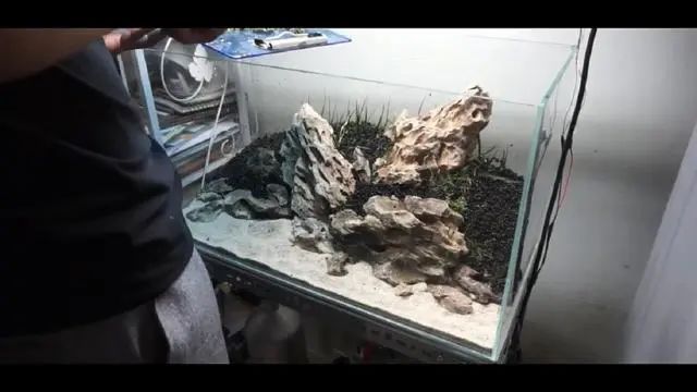 新手鱼缸开缸养水教程,新手海水缸开缸准备材料清单