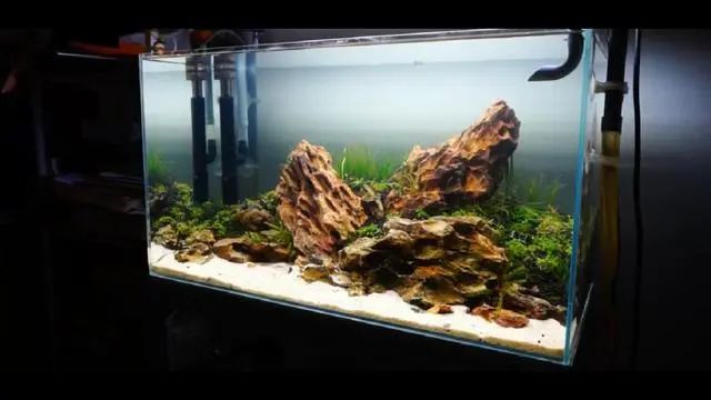 新手鱼缸开缸养水教程,新手海水缸开缸准备材料清单