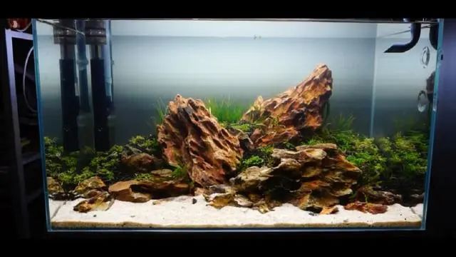 新手鱼缸开缸养水教程,新手海水缸开缸准备材料清单