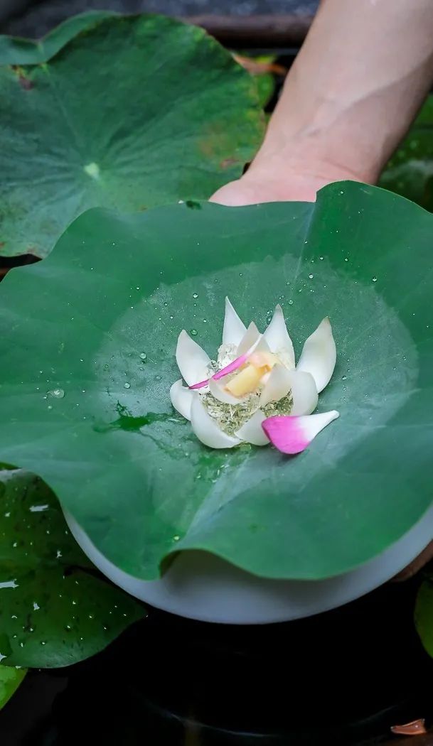 人均1280的餐厅,人均120的砂锅店