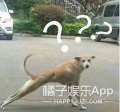 张檬小五土味视频,张檬和小五跳土味舞蹈