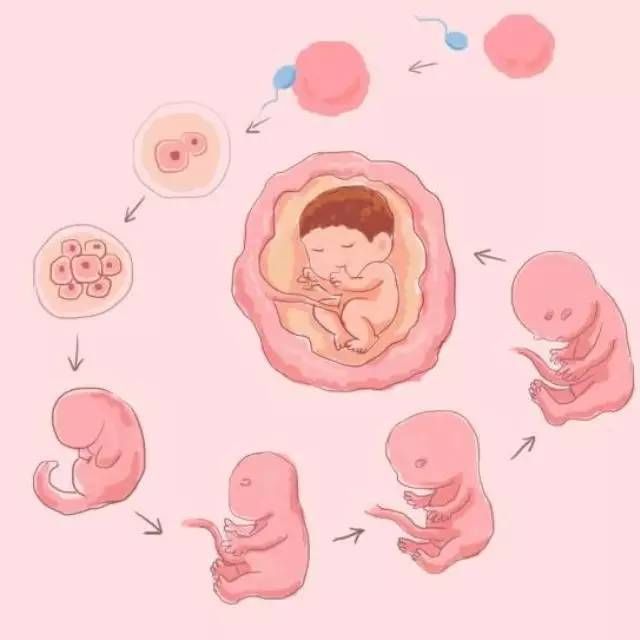 12岁男孩竟把这插入自己的尿道！医生说，教育不能回避