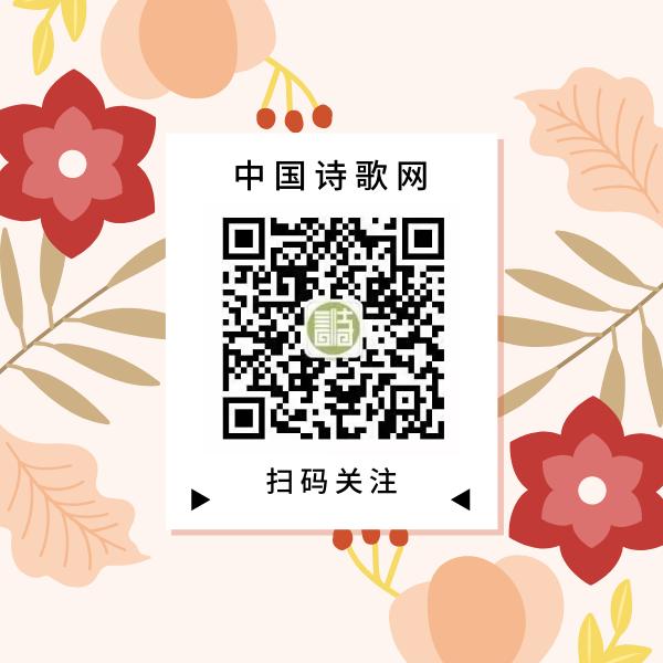 荐号|几个经典的教育类公众号