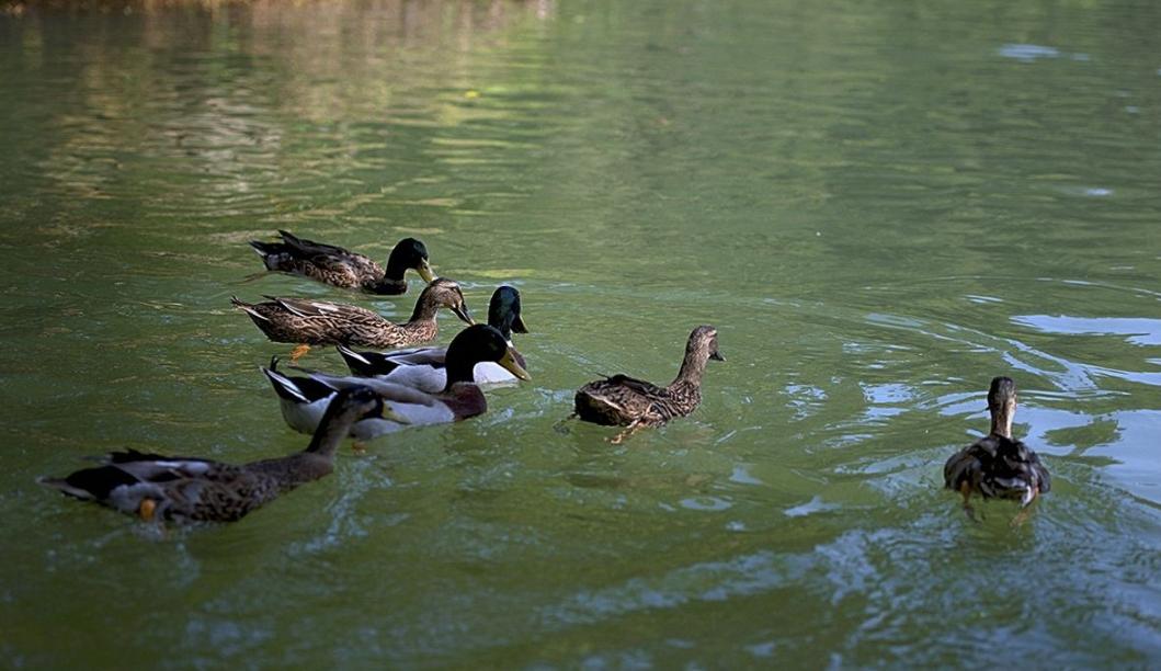 郑州适合拍照的十大网红打卡地,郑州旅游网红打卡地点推荐