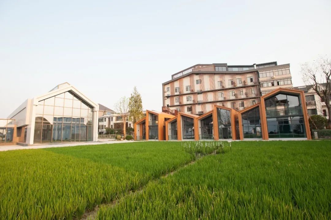 余杭景点打卡攻略旅游线路,余杭城西一日游攻略