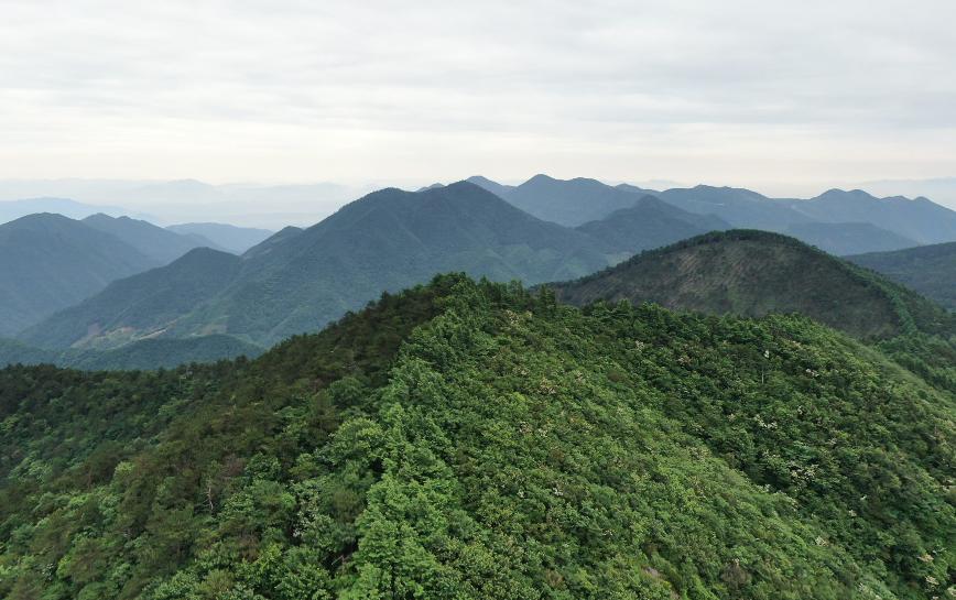 浙江宁波最高的峰是哪个,宁波山脉最高峰