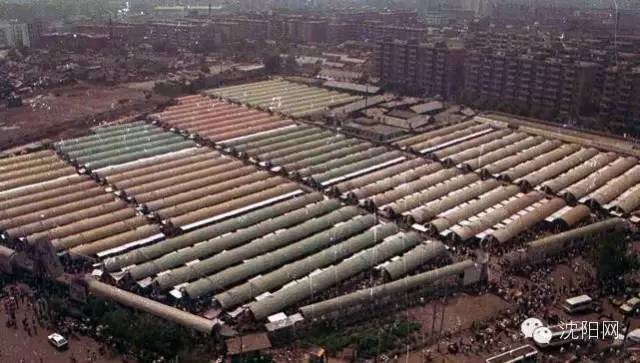 这张照片值钱了！谁都见过！赶紧回家翻