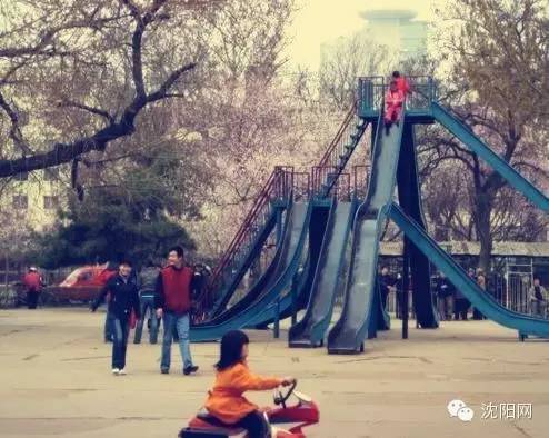 这张照片值钱了！谁都见过！赶紧回家翻