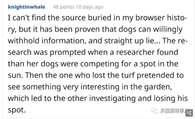 发现自家的狗一直在欺骗自己,网友发现一只很奇怪的狗