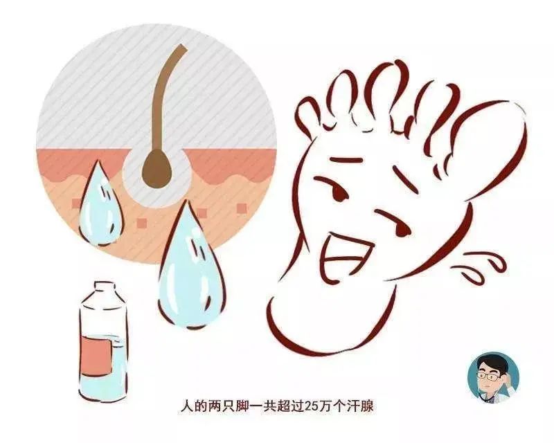 脚臭脱鞋多久可以去味,脚臭喷鞋袜除臭