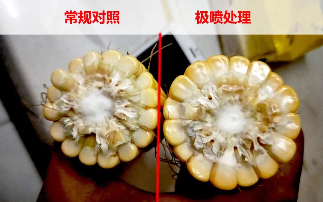 氮钾复合肥缓释肥,叶面喷雾缓释复合肥