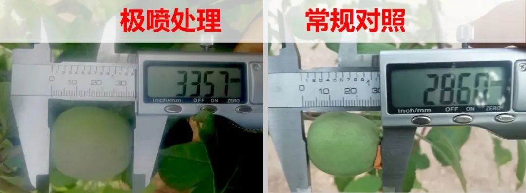 氮钾复合肥缓释肥,叶面喷雾缓释复合肥