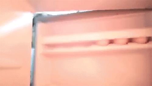 冰箱有异味放什么除菌,冰箱有异味能清出来嘛