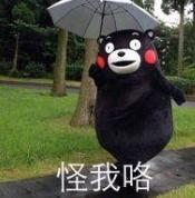 最受欢迎的鞋子,最受欢迎鞋子