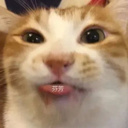 最受欢迎的鞋子,最受欢迎鞋子