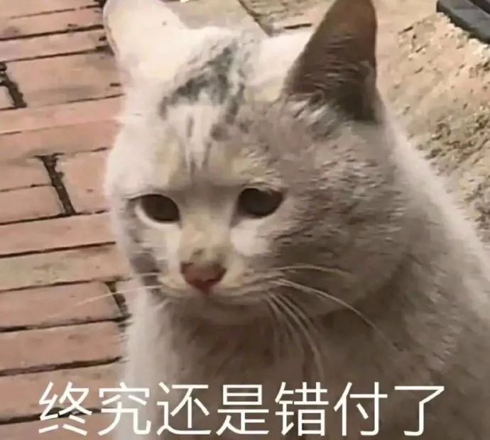 最受欢迎的鞋子,最受欢迎鞋子