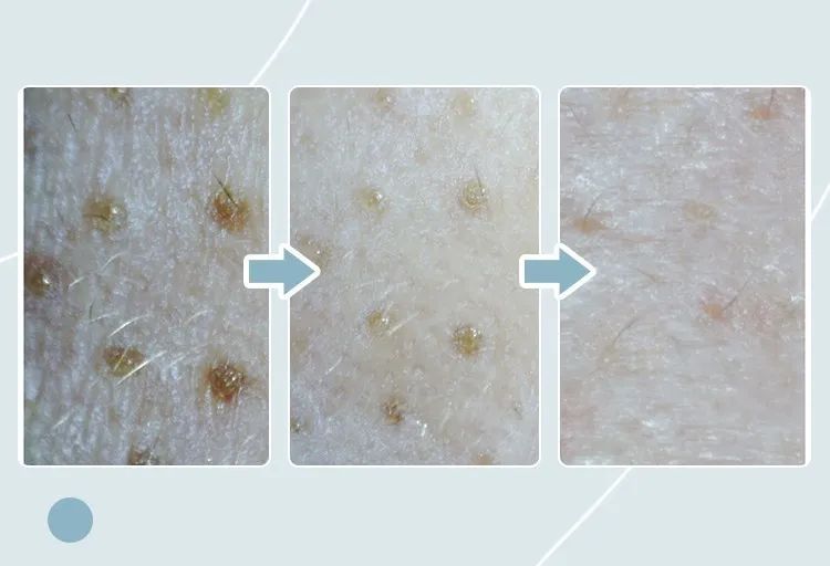 行走的荷尔蒙激发你的魅力,行走的荷尔蒙自带香水