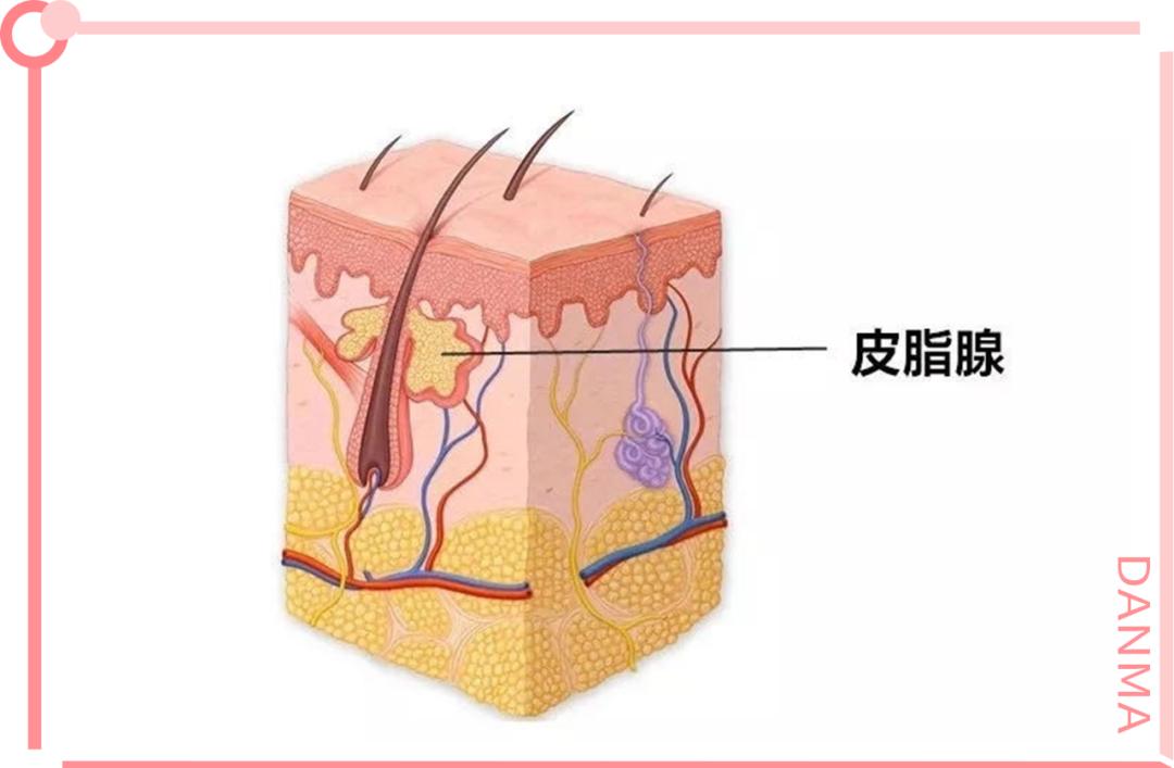 生完孩子皮肤干燥毛孔粗大怎么办,生完孩子后毛孔粗大如何改善