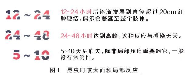 昆虫过敏是什么样子,昆虫咬过敏怎么治