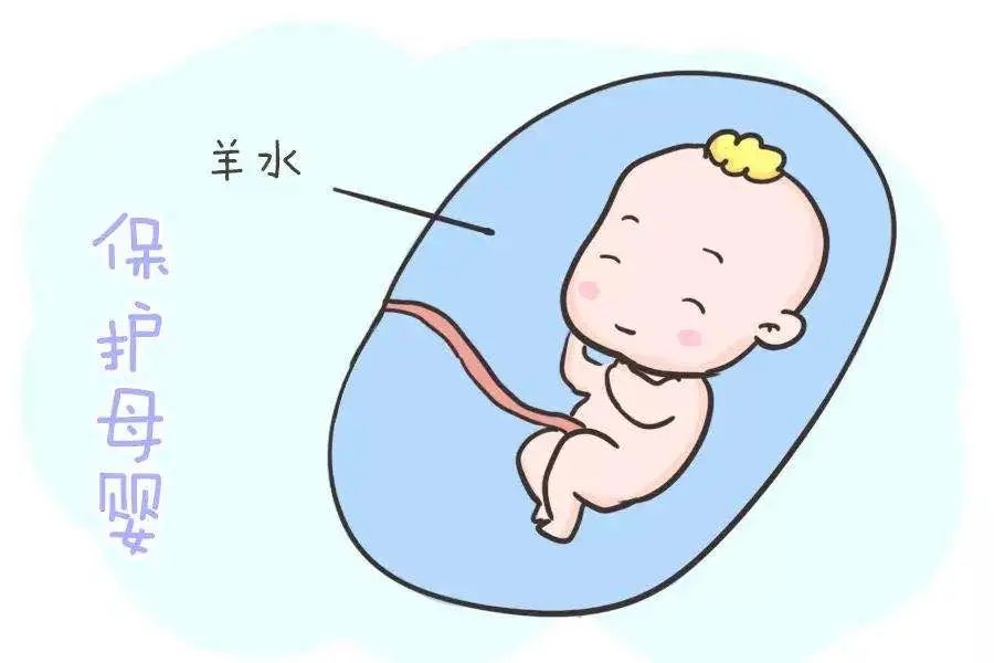 孕期医疗科普短视频,孕期科普健康知识内容