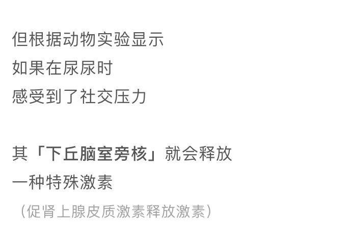 膀胱害羞症听过吗,膀胱害羞综合症知乎