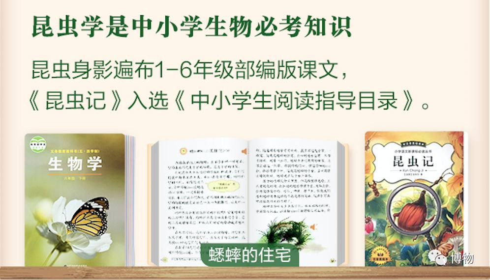 看见虫子动弹不得,看到虫走不动路