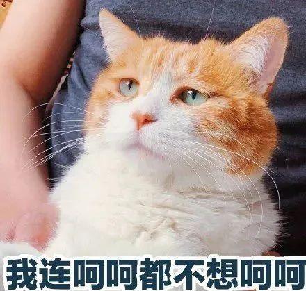 揭开翡翠神秘面纱,揭开花中黄金藏红花的神秘面纱