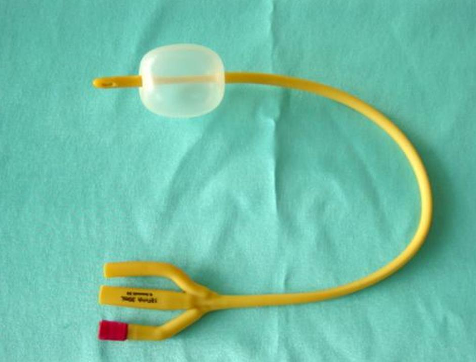 有关肾移植的知识,肾移植科普的漫画图片