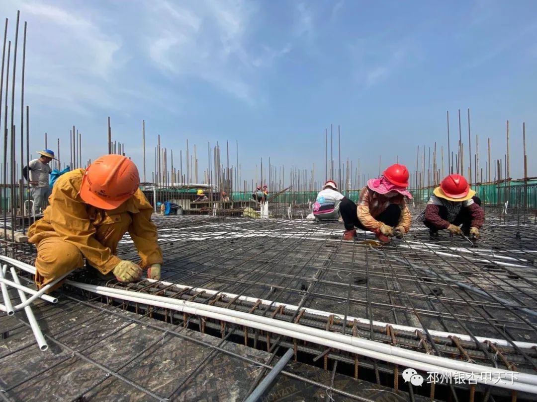 邳州高层住宅规划公示,邳州2024年将要开发的小区