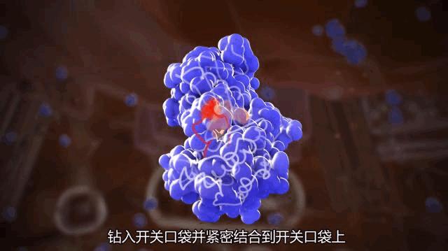 卡死癌细胞的发动机！全球首个广谱KIT*制剂抑**获得FDA批准上市，它杀死癌细胞的方式很特别丨奇点深度