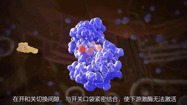 卡死癌细胞的发动机！全球首个广谱KIT*制剂抑**获得FDA批准上市，它杀死癌细胞的方式很特别丨奇点深度