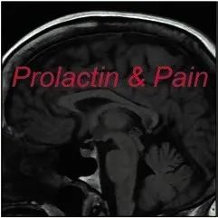 珠江视界|麻醉学科相关最新重要文献导读（2020.06）