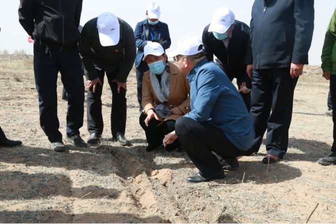 鄂托克前旗德善,德善草原