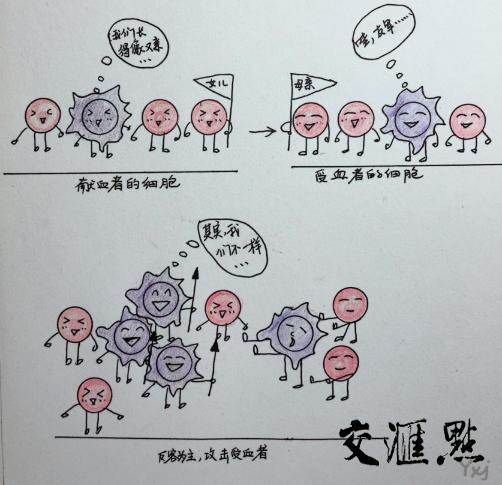 直系亲属能直接输血要看血型吗,直系亲属之间输血会产生哪些病