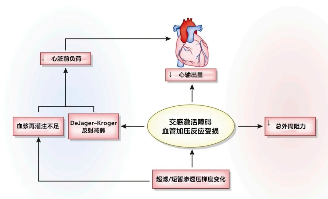血液透析中低血压的预防与治疗,透析中低血压的原因及预防