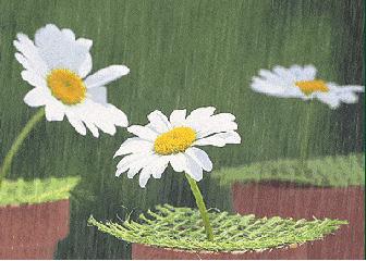 梅雨天潮湿怎么治,梅雨潮湿天气家中如何除潮