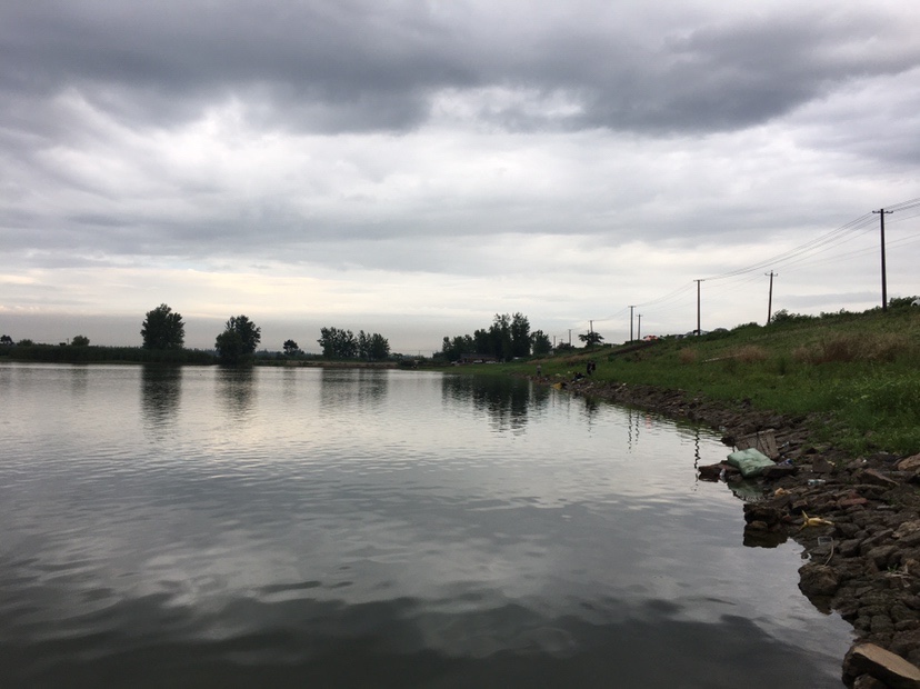 下雨天狂拔大鲫,雨天狂拉草鱼