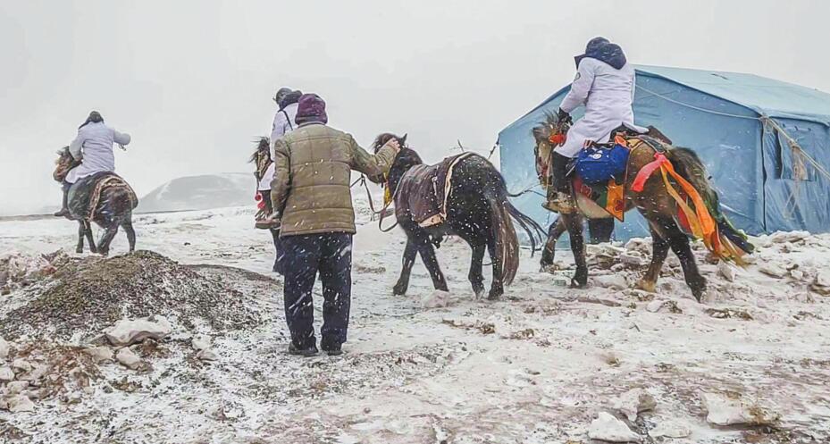 “健康玉树”迸发新动力