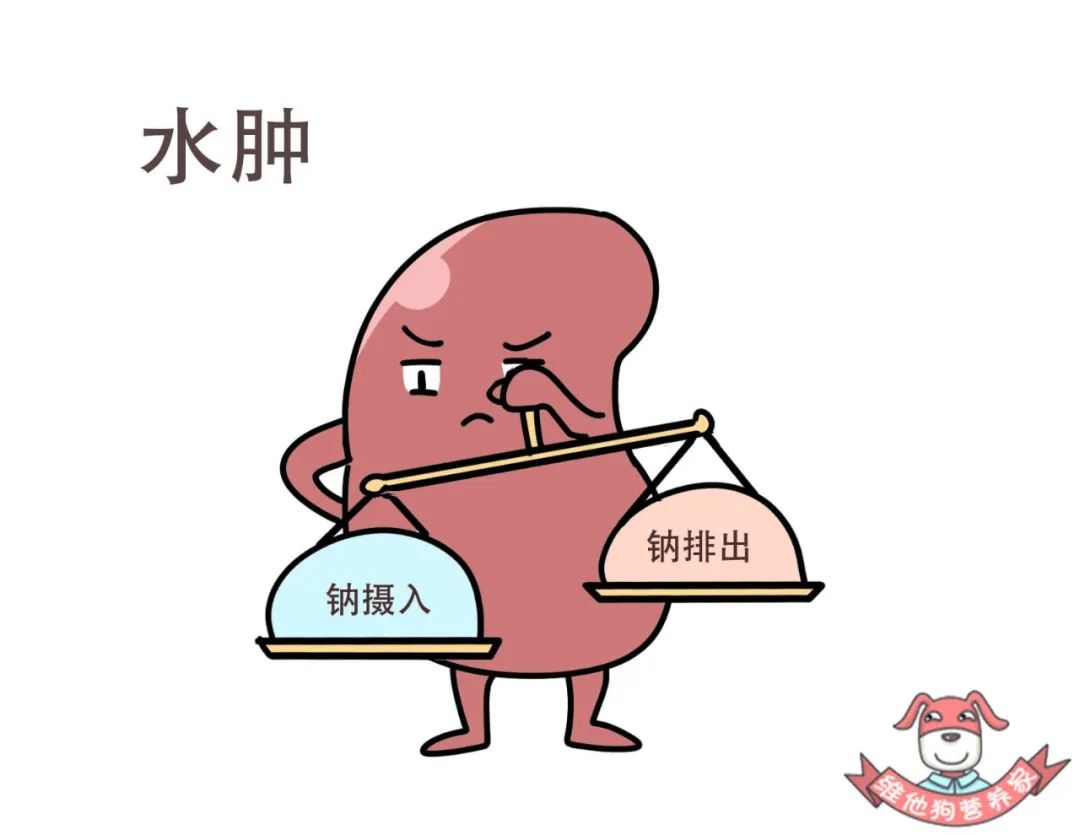 水肿型肥胖减肥快吗,水肿型肥胖怎么减肥最快最有效