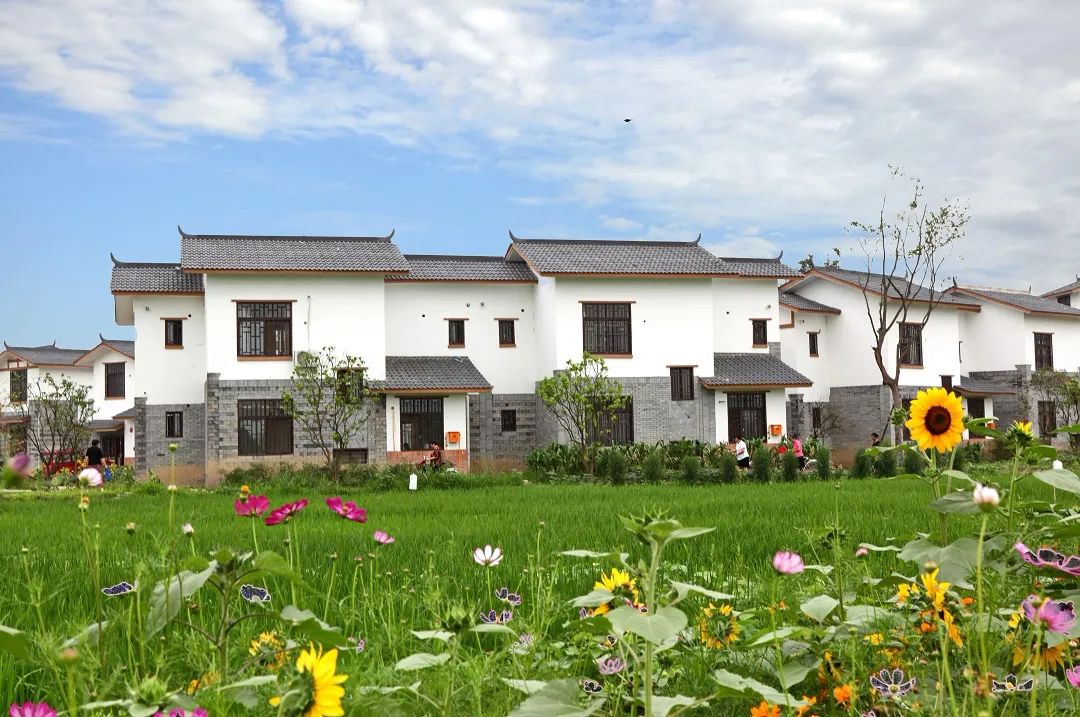 互联网助力乡村振兴项目,互联网带动农村创业