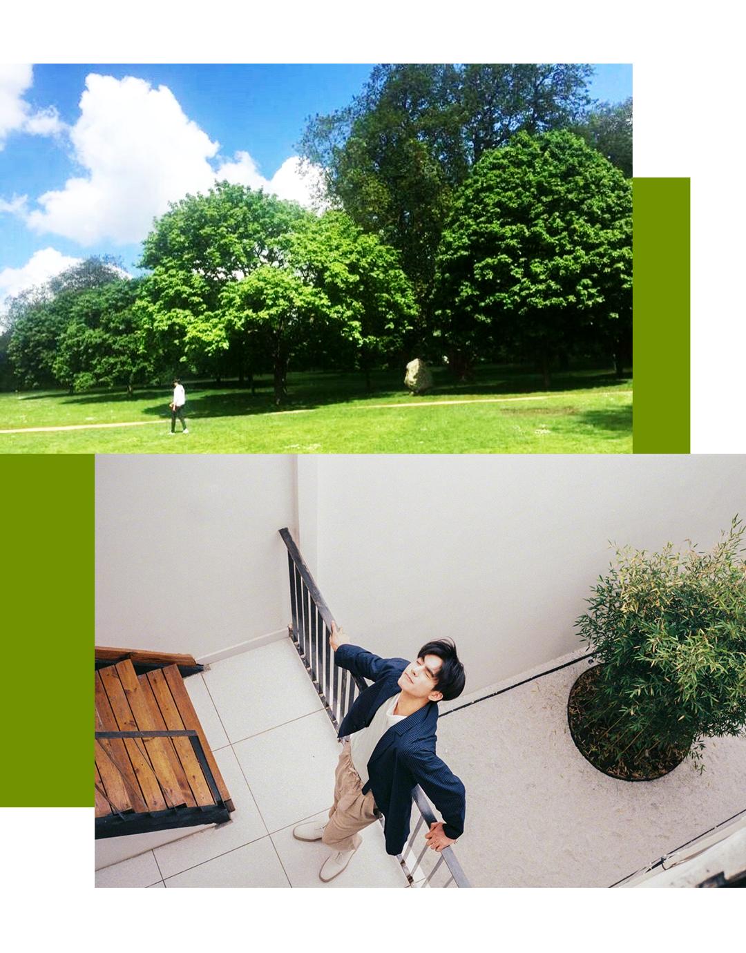 拥有风靡全网的“网绿”才是向往的生活